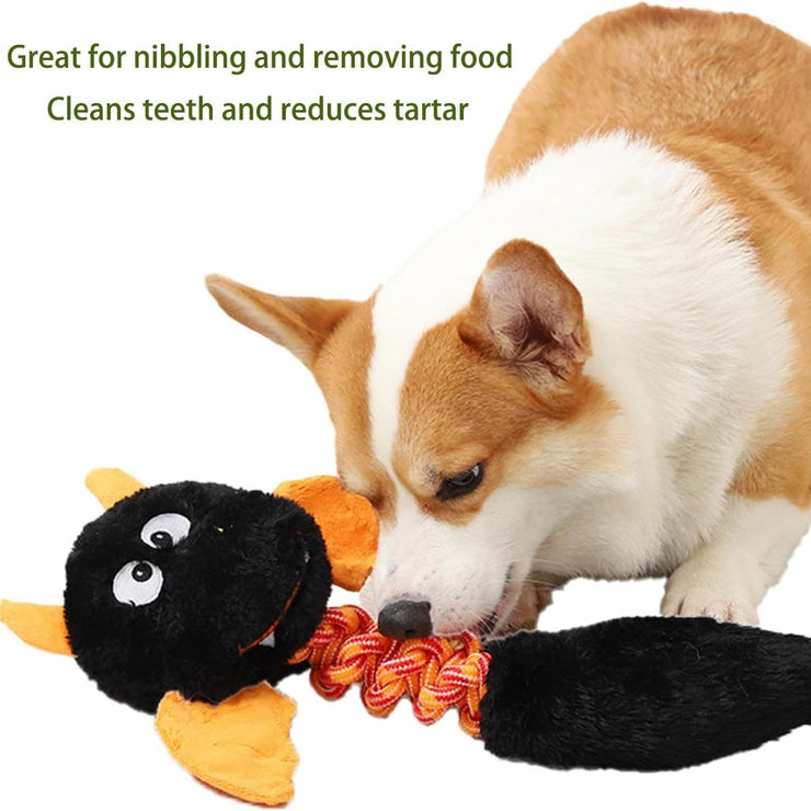 Squeaky Dog Toys