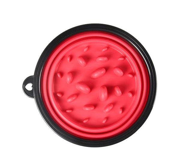 Pet Collapsible Slow Food Bowl