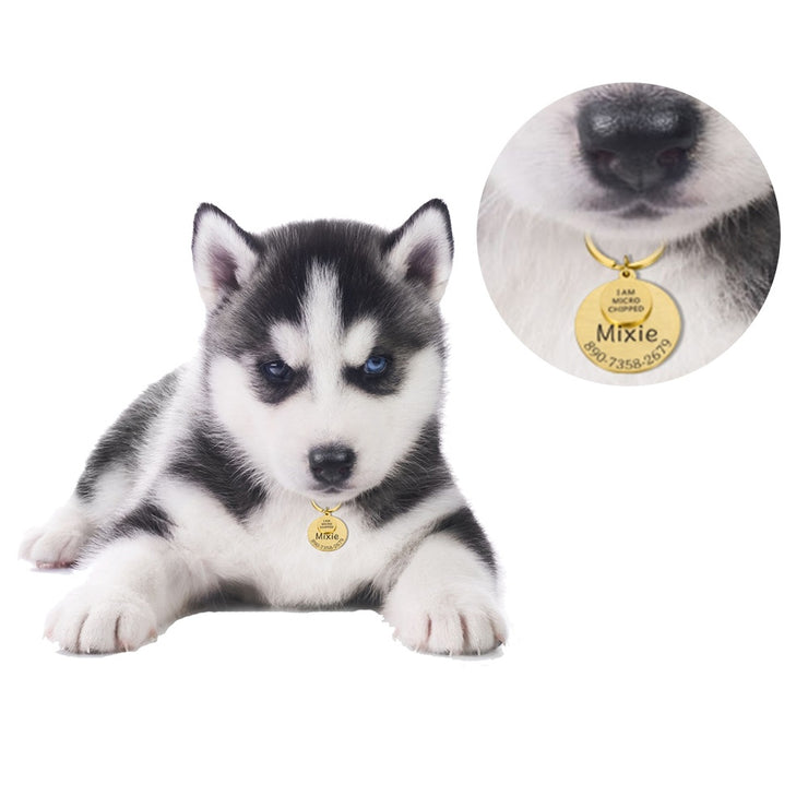 POD Pet Collar Tag