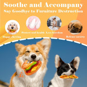 Squeaky Dog Toys