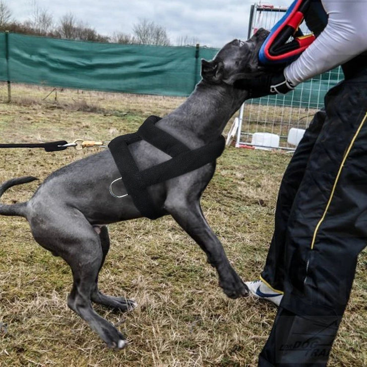 Dog Weight Pulling Harness
