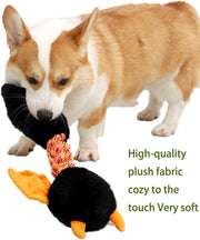 Squeaky Dog Toys