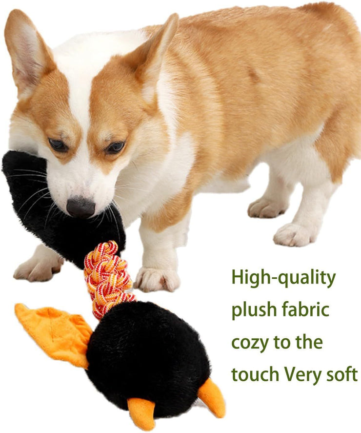 Squeaky Dog Toys