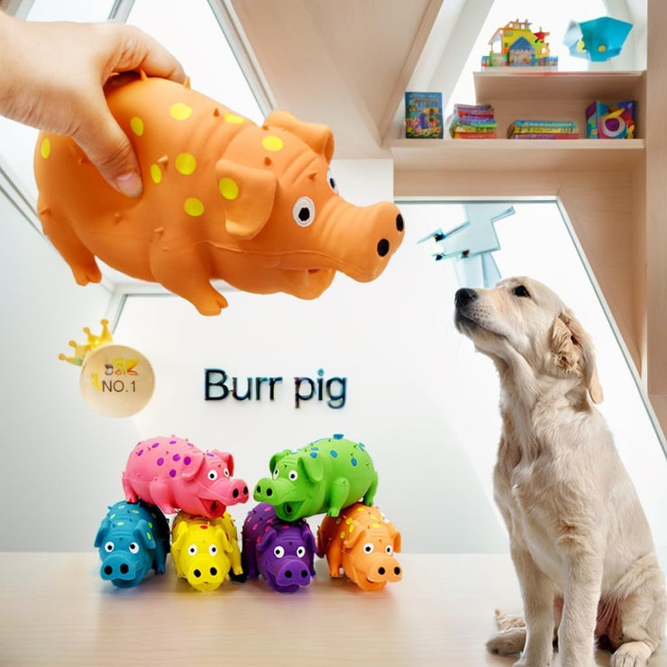 Pet Toys For Dogs