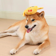 Animals Shape Squeaky Toys