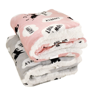 Pet Waterproof Blanket