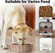 Ceramic Dog Slow Feeder - Purrlo