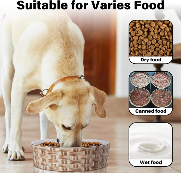 Ceramic Dog Slow Feeder - Purrlo