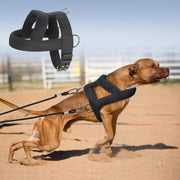 Dog Weight Pulling Harness