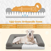 36 Inch Orthopedic Dog Bed - Purrlo