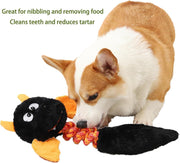 Squeaky Dog Toys
