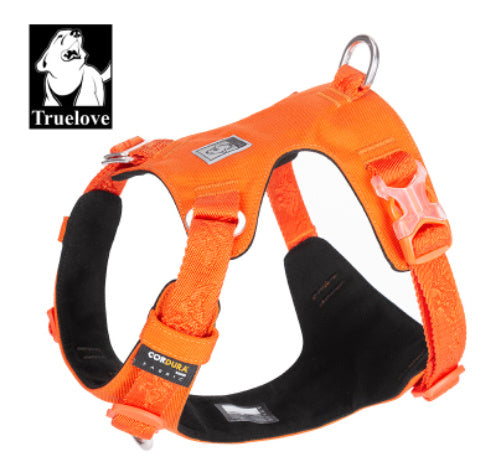 Dog harness for walking