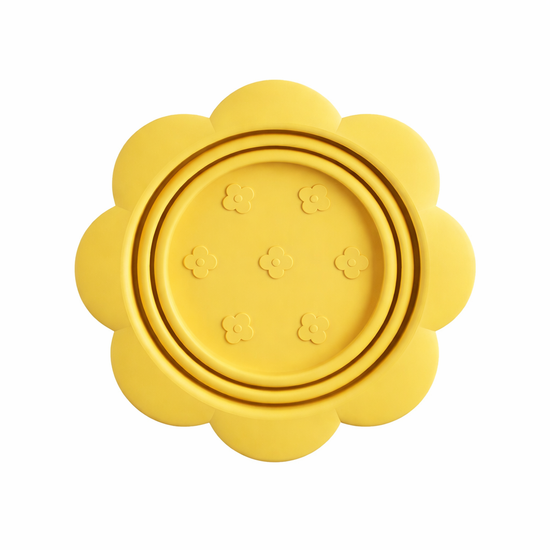 Dog Collapsible Bowl Folding Silicone